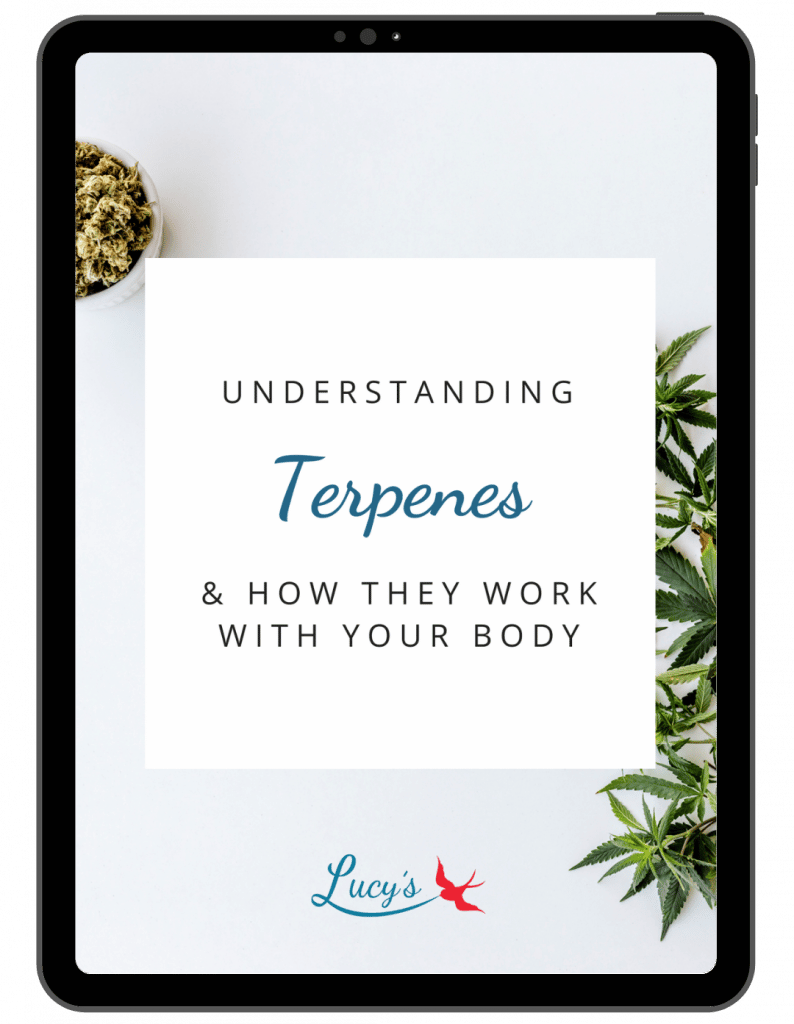 Understanding Terpenes mockup (1)