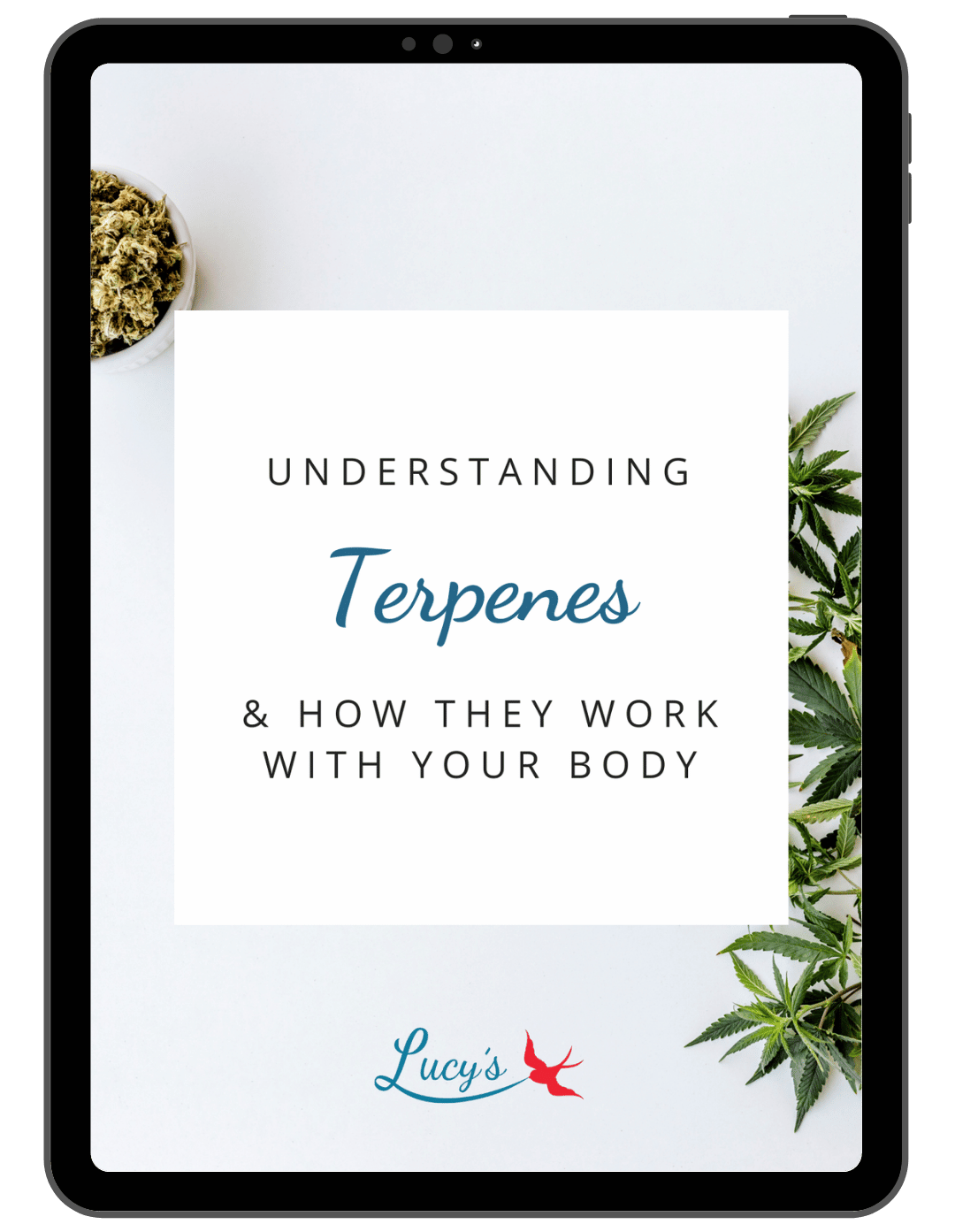 Understanding Terpenes mockup (1)